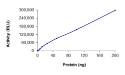Sino Biological&nbsp;Recombinant Human PCTK2 (CDK17) & Cyclin Y Protein (GST Tag), Active